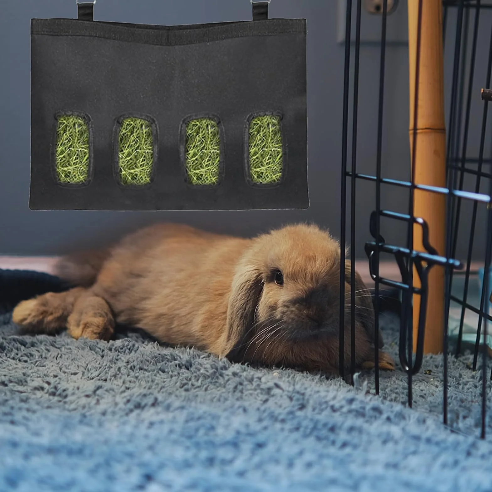 Sac à Foin pour Lapin, Distributeur Automatique Suspendu avec 4 Fenêtres, Noir