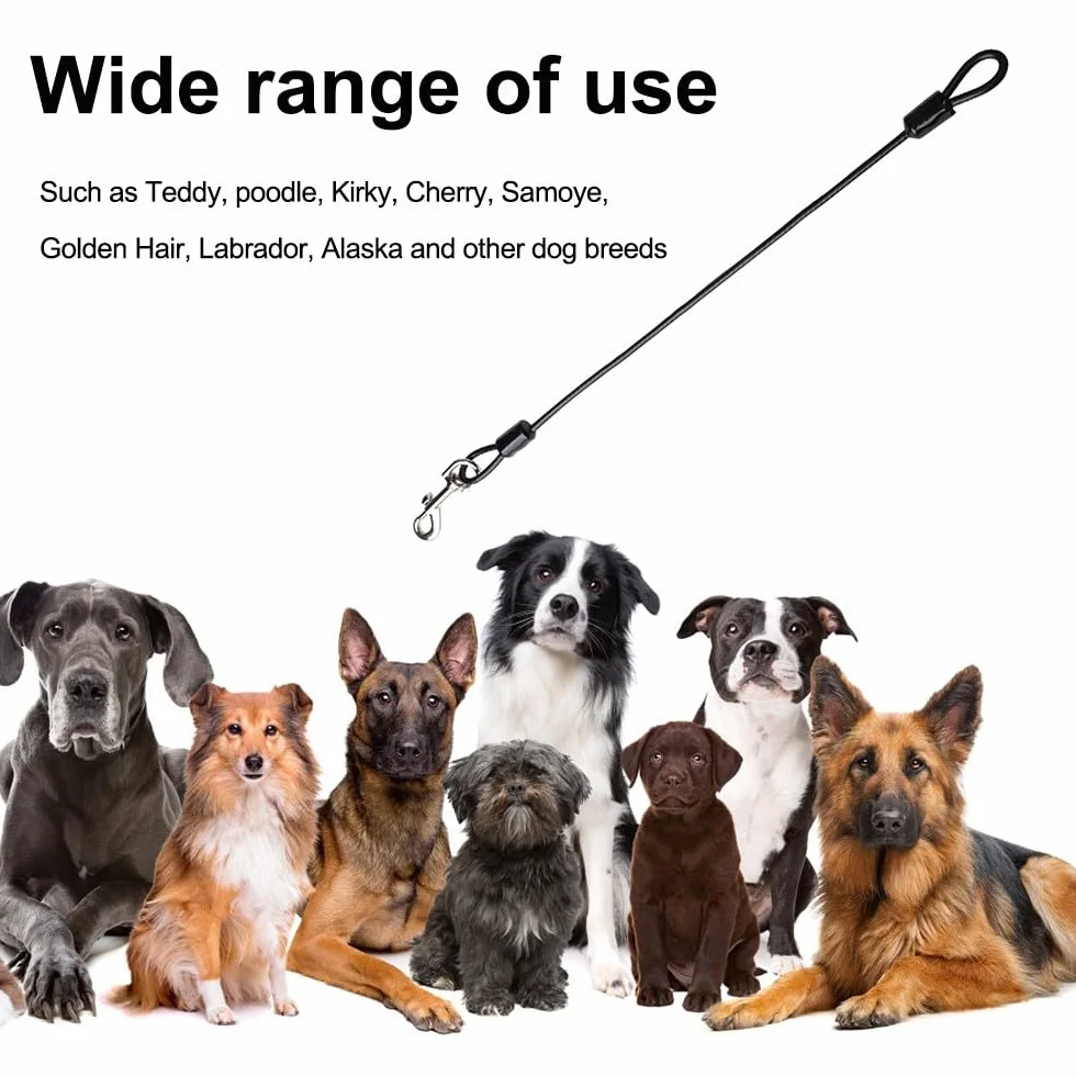 Laisse pour Chien Résistante Mastication Corde en Acier pour Petit Moyen Grand Chien Plein Air Marche Course