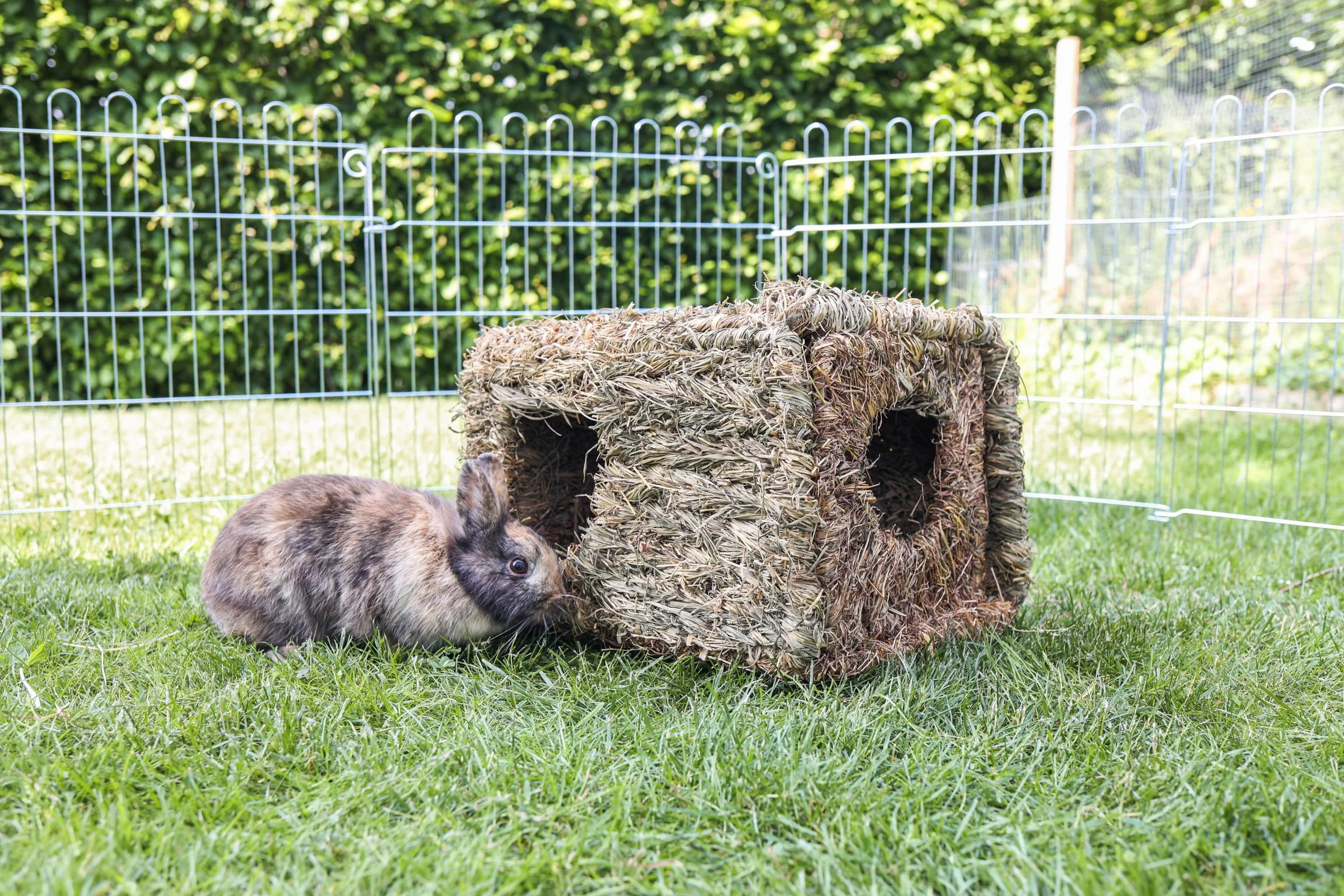 Kerbl 82789 Petits Animaux Maison d'Herbe xl 37x30x28 cm