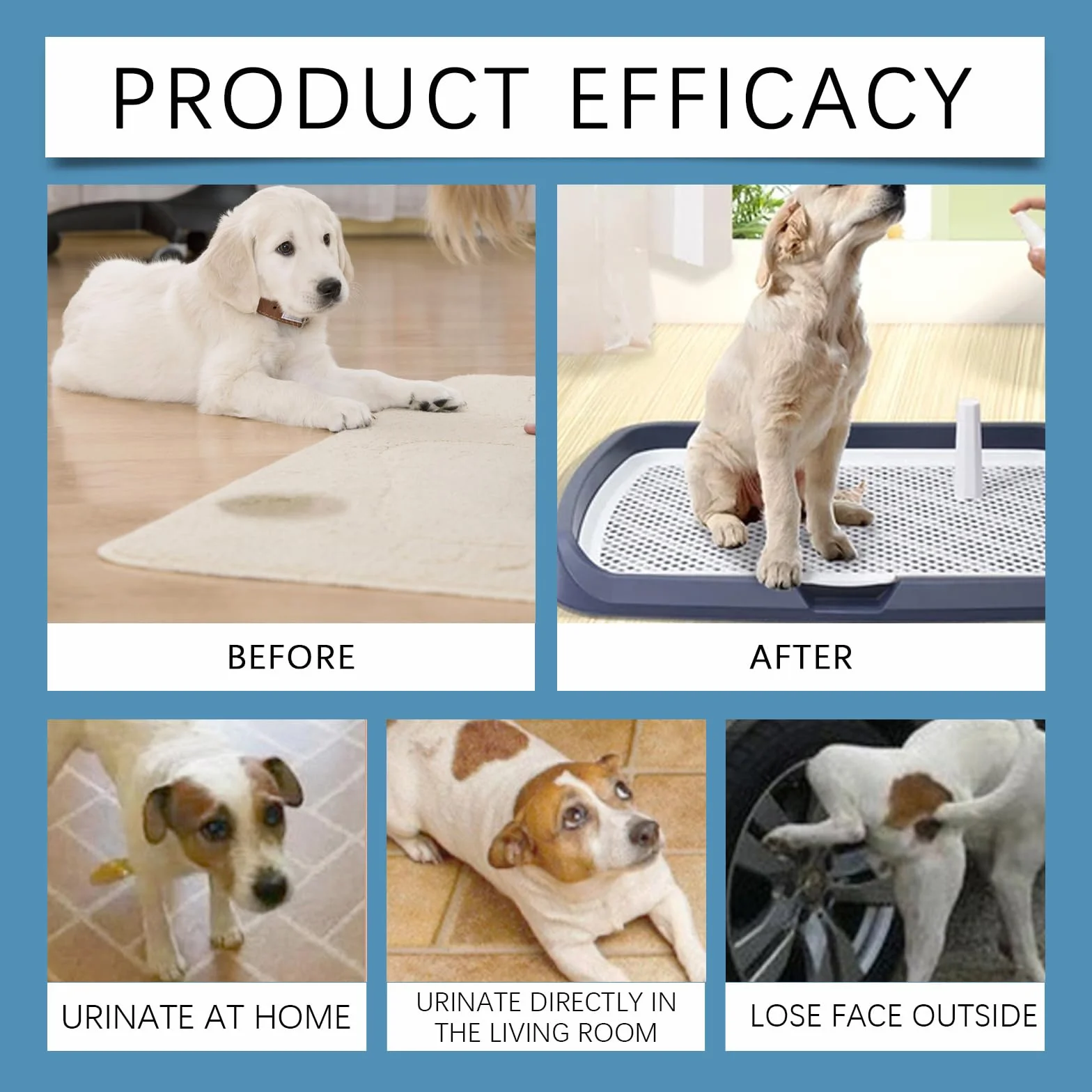 Spray Entraînement à la Propreté pour Chiens 50ML