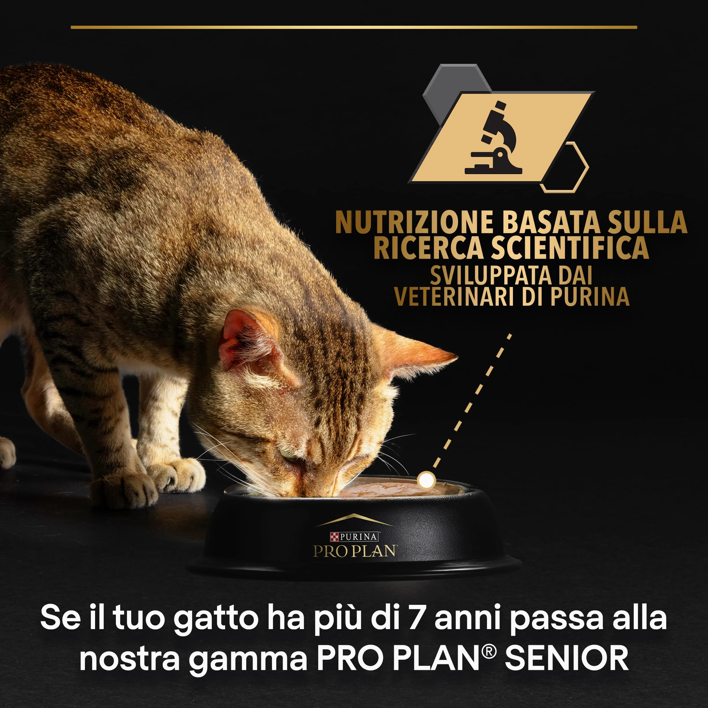 PURINA PRO PLAN | Adult STERILISED MAINTENANCE | Aliment Complet pour Chat Adulte Stérilisé | Aide à maintenir une bonne santé urinaire | Terrine | Au Poulet | Boîte | Lot de 24 x 85g