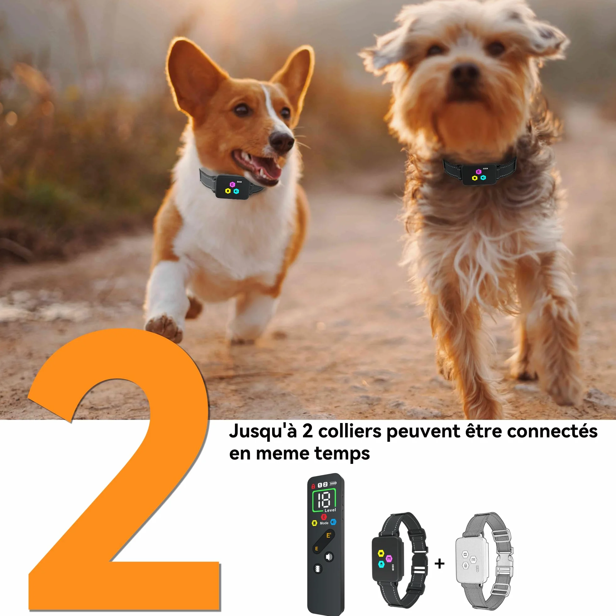 Collier de Dressage pour Chien Meloive, Portée 3000 Mètres, 3 Modes Vibration/Choc/Son, Rechargeable