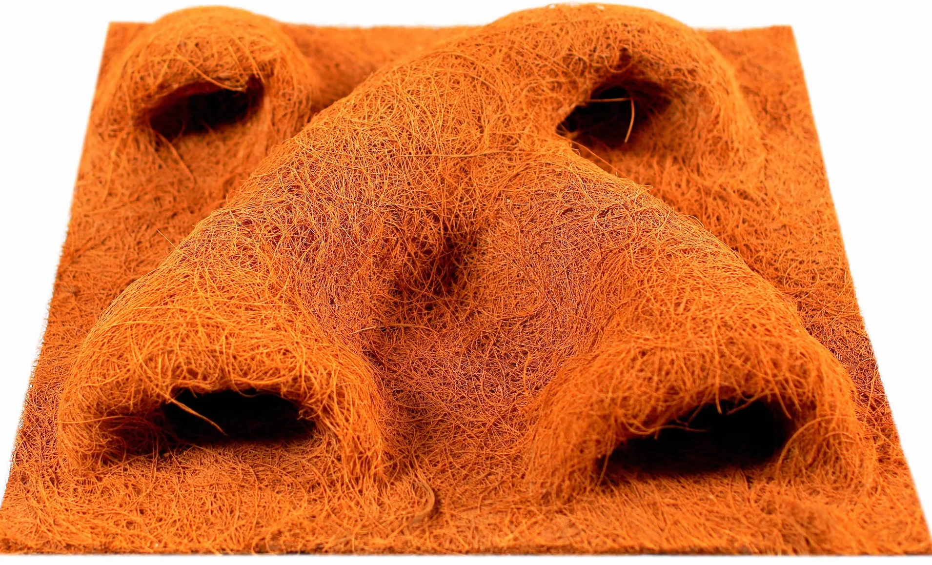 TropicShop Paroi arrière en fibre de coco naturelle pour terrarium 30 x 30 cm