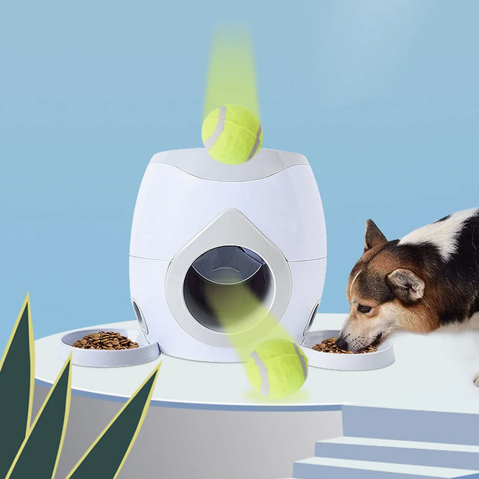 Focket Lanceur de balles automatique pour chien, 2 balles de tennis, jouet interactif pour chien, extérieur