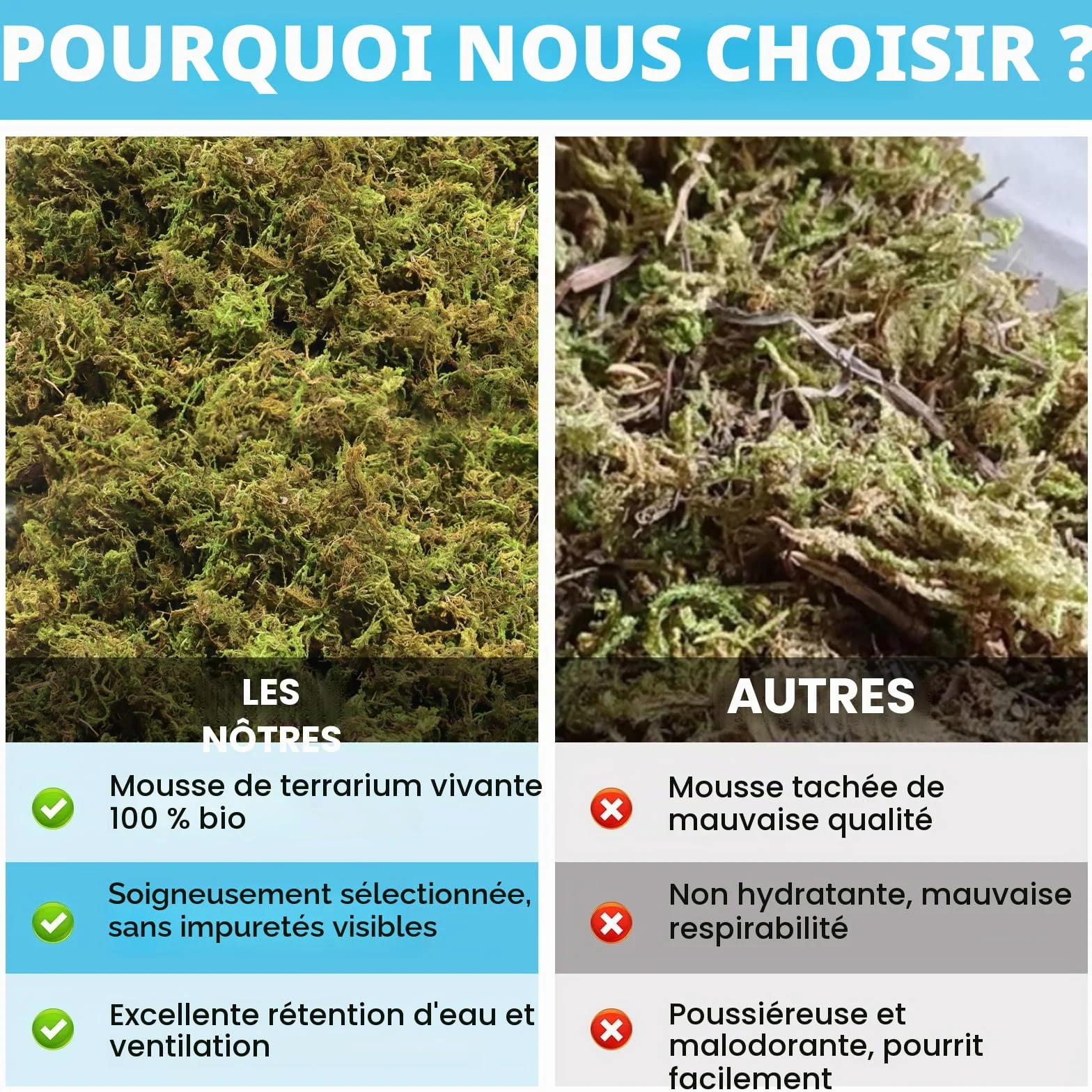 Mousse de sphaigne naturelle pour Reptiles - Substrat vivant pour Terrarium, éclosion, Serpents, Gecko (200g)