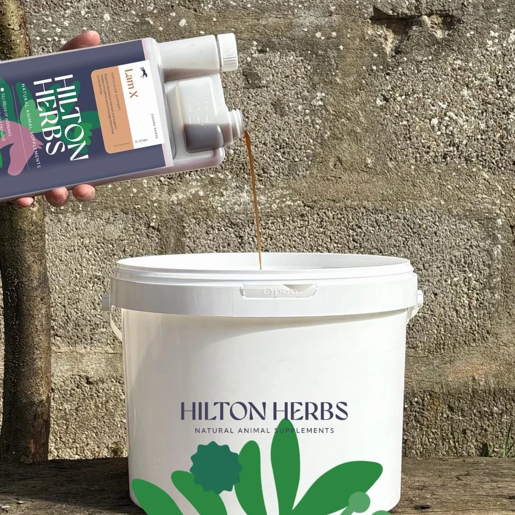 Hilton Herbs NAV-X Gold 1 L Complément Alimentaire Cheval Foubure et Naviculaire