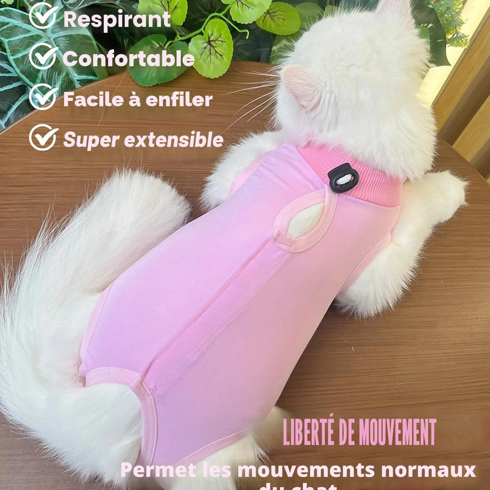 Gilet de Récupération pour Chat Anti Léchage Post-Opératoire, Stérilisation, Protection Post-Chirurgie - Rose + Bleu (M)