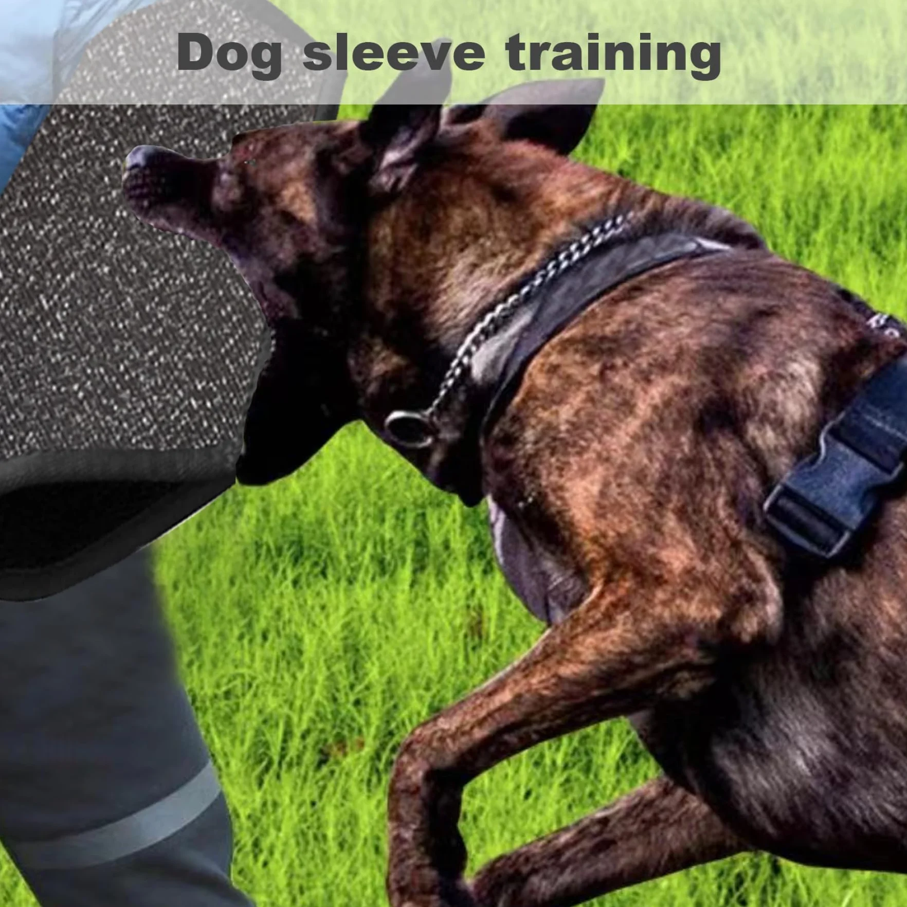 Manchons d'entraînement en Nylon résistants aux morsures pour Chiens, Manchon de Bras de Morsure Peu encombrant