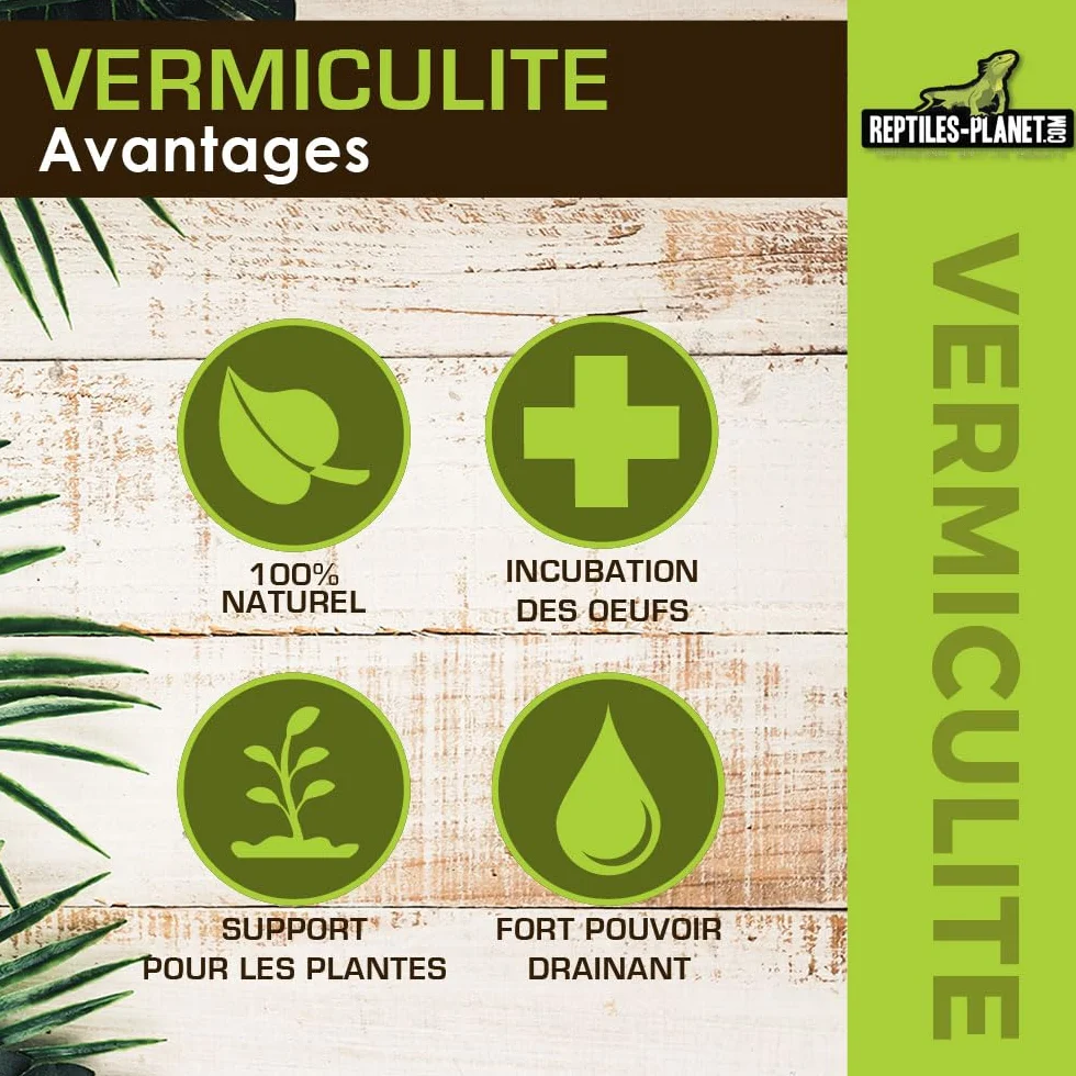 Reptiles Planet Vermiculite Substrat d'Incubation pour Reptiles 0,3-4 mm 6 Litres