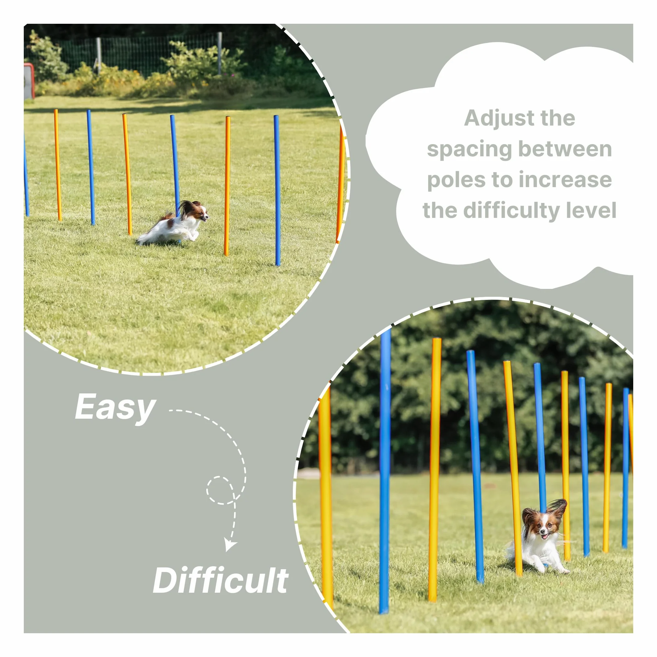 Trixie Dog Activity Agility Slalom 115H x 3W x 115L cm 12 Pieces Bleu Orange