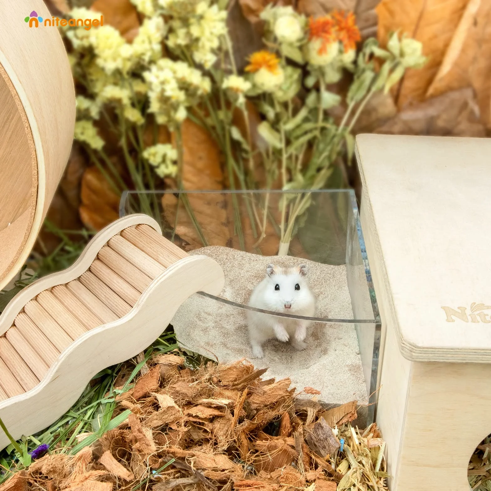Niteangel Sable de bain désertique sans poussière pour hamsters 1kg