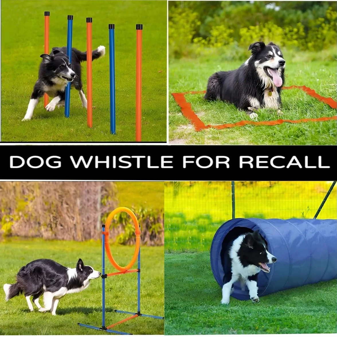 Sifflets Ultrasons pour Chien Anti Aboiement Dressage Haute Fréquence Réglable Lot de 2