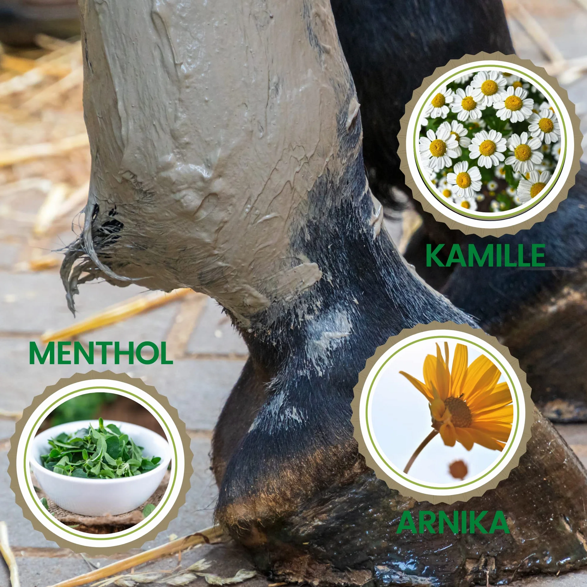Emma Argile pour Chevaux Set 2×1,5 kg Pâte Refroidissante Tendons Articulations Arnica Pure