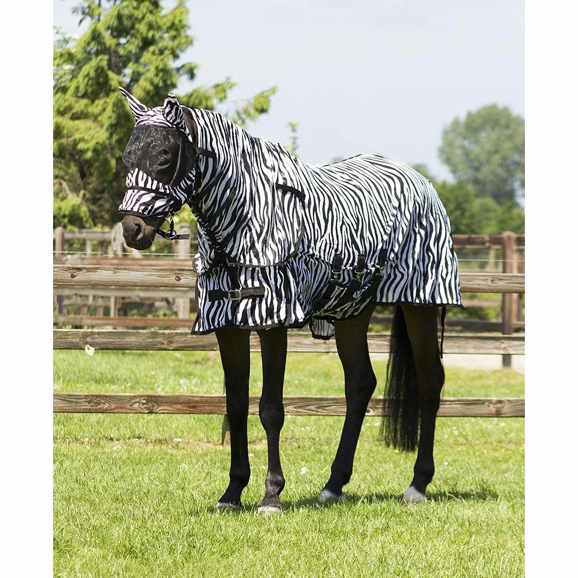Couverture Anti Mouche QHP pour Cheval avec Couvre-Cou et Bonnet