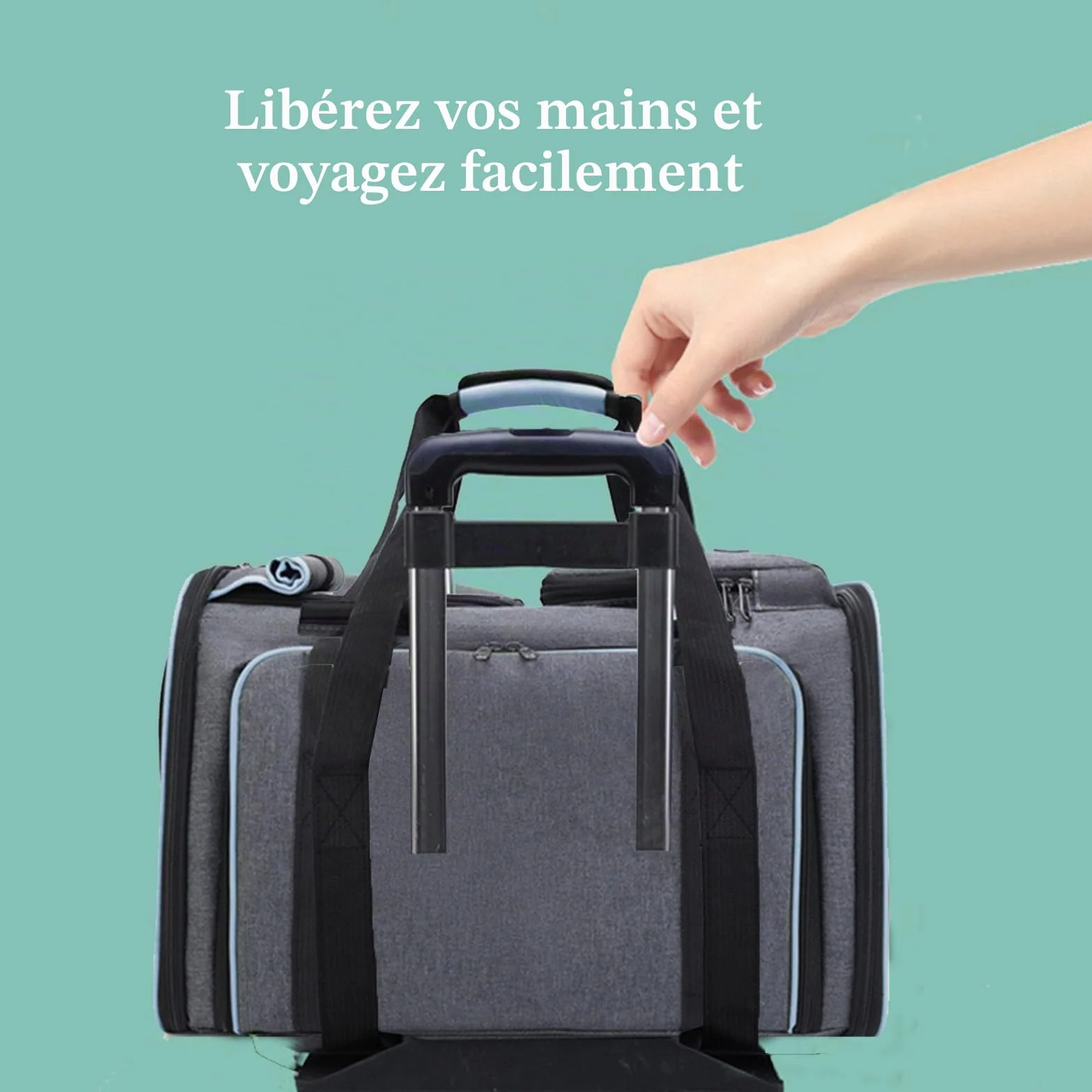 Sac de transport pliable pour chat - Respirant - Avion, voiture, voyage - Petits chiens