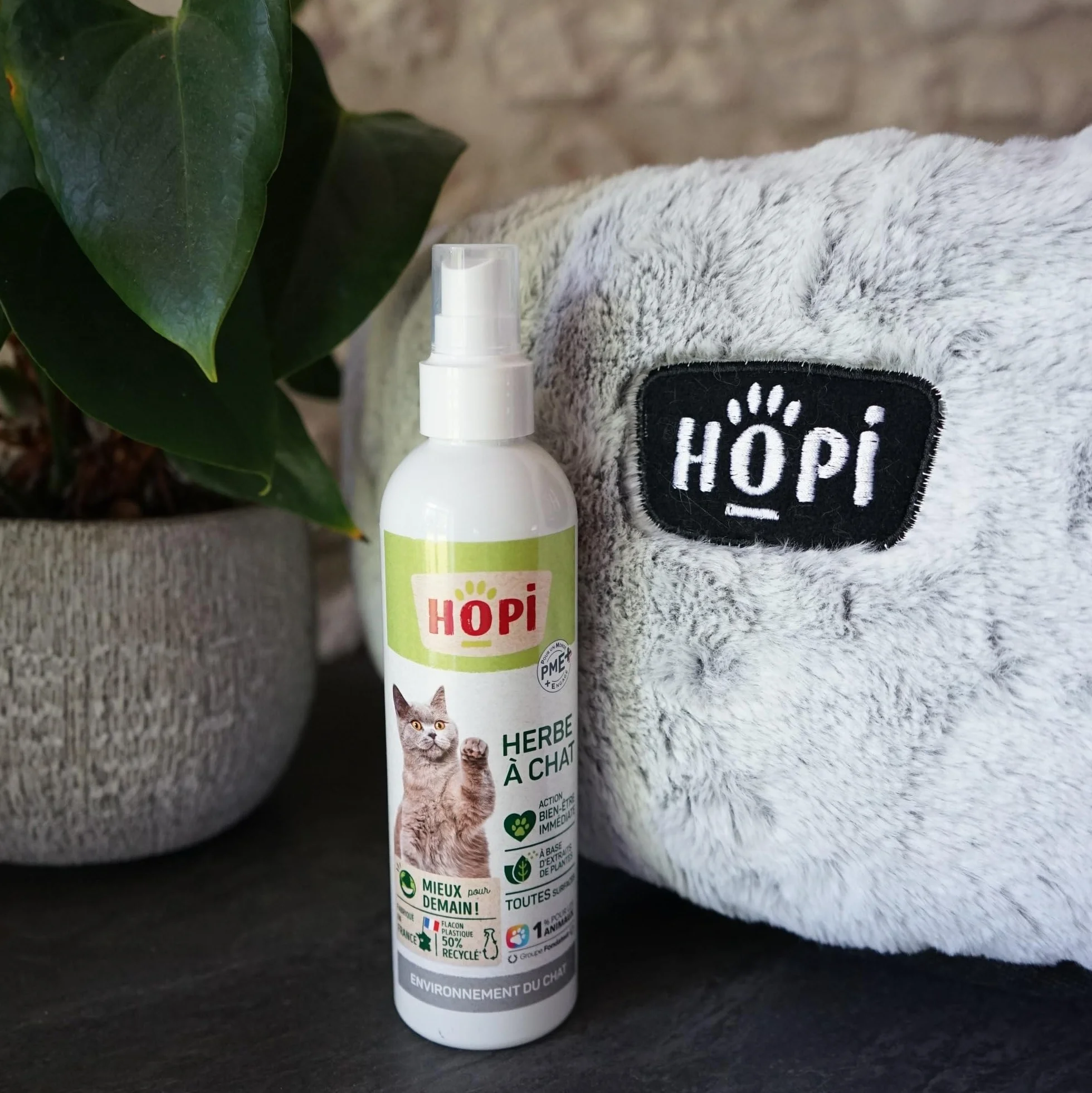 HOPI Spray herbe à Chat 200 ml - Extraits de Plantes - Stimule le Bien Être - Fabriqué en France