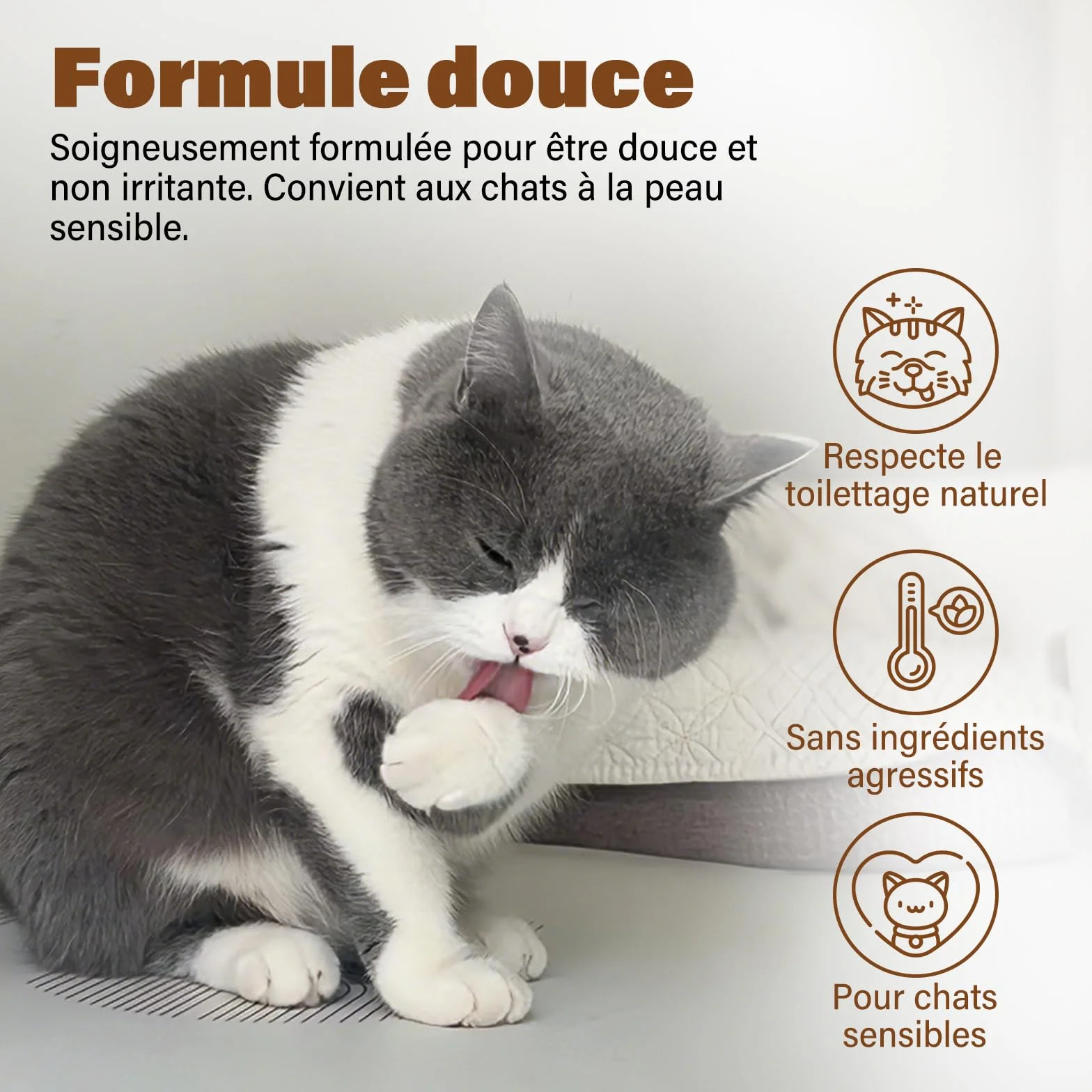 Shampoing Sec pour Chats 200 ML Parfum Noix de Coco pH Neutre