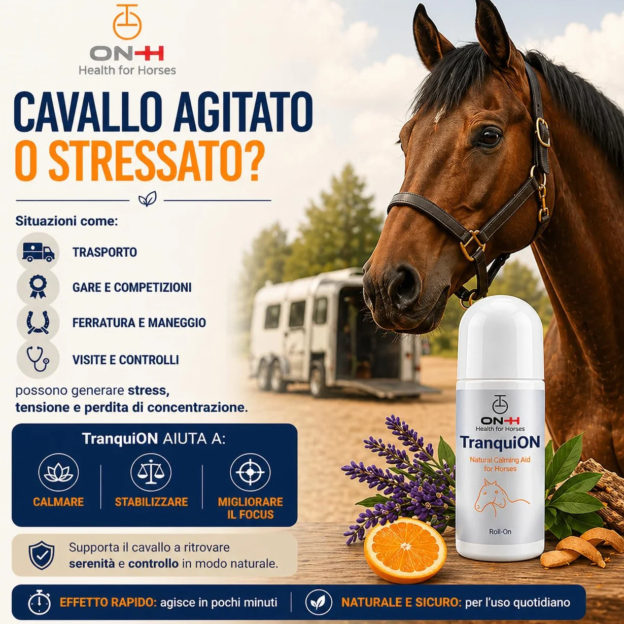 ON-H TranquiON Roll-On pour Chevaux | Gel Apaisant Naturel | Application Localisée Roll-On | Idéal avant Transport, Compétition et Entraînement | Apaisant sans Sédation | Usage Quotidien