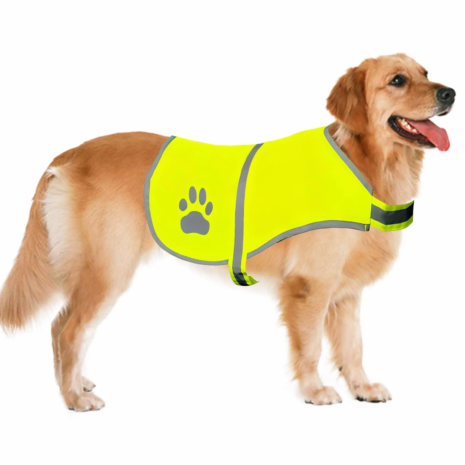 Gilet de Sécurité Réfléchissant pour Chien Haute Visibilité Taille M