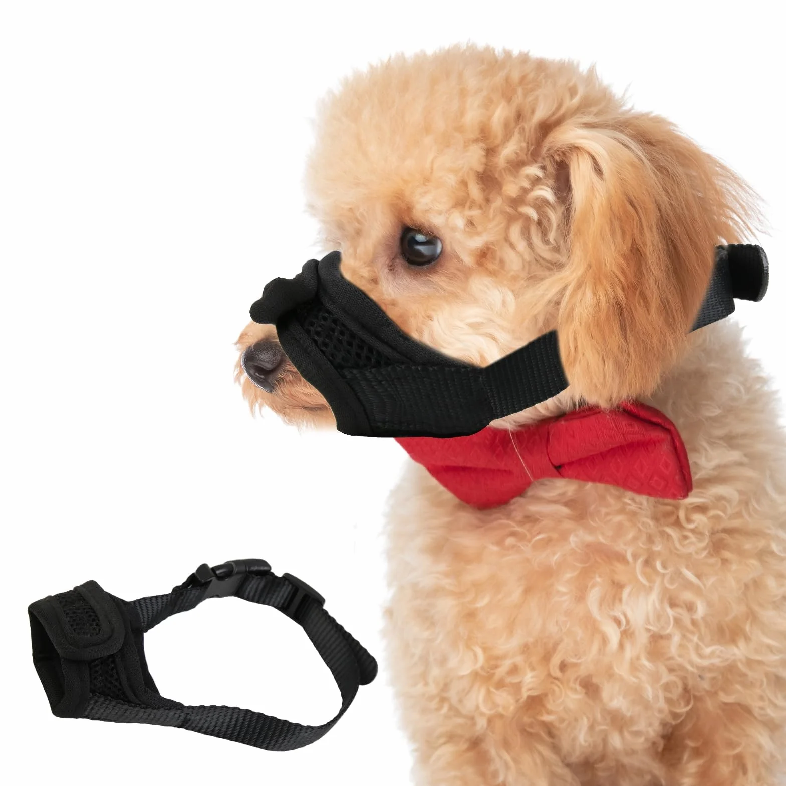 Anti Morsure Muselière Dog Muzzle, Musoliaire Petit Chien Nylon Legere Souple Museliere Réglable Anti Aboiement Intoxication Chiens pour Teddy Bear Shih Tzu Jack Russell Terrier Teckel Nain (S)