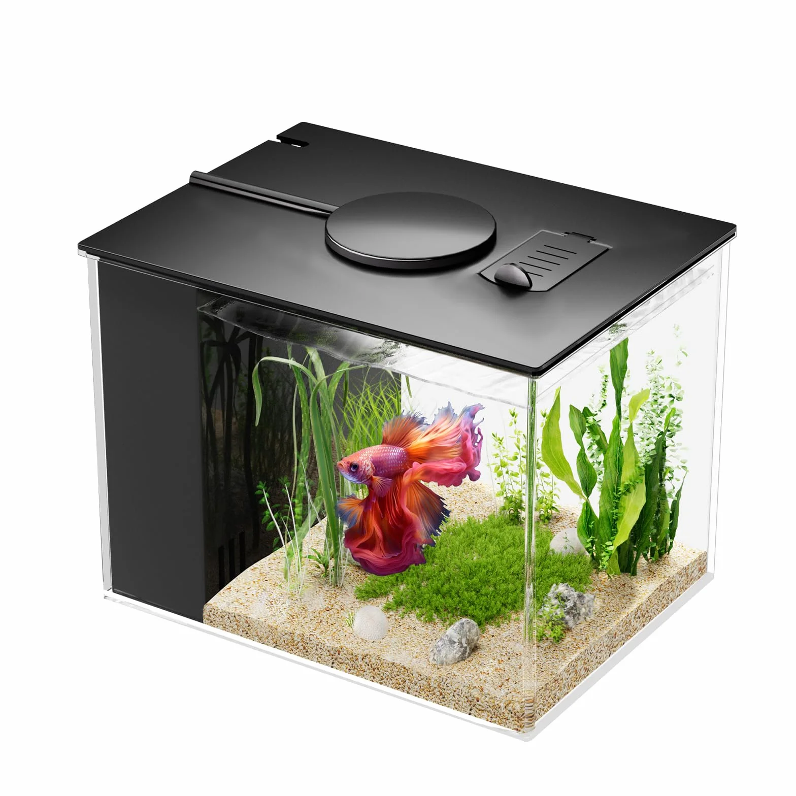 Petit Aquarium Complet 3,7L en Acrylique avec Pompe de Filtration et éclairage LED pour Betta, Crevettes, Plantes (Noir)
