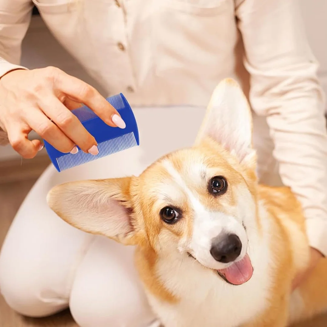 5 Pièces peignes anti-puces en acier inoxydable avec dents arrondies pour chats et chats, Peigne anti puces pour chat, peigne à poils épais, peigne à dents fines pour chien et chat