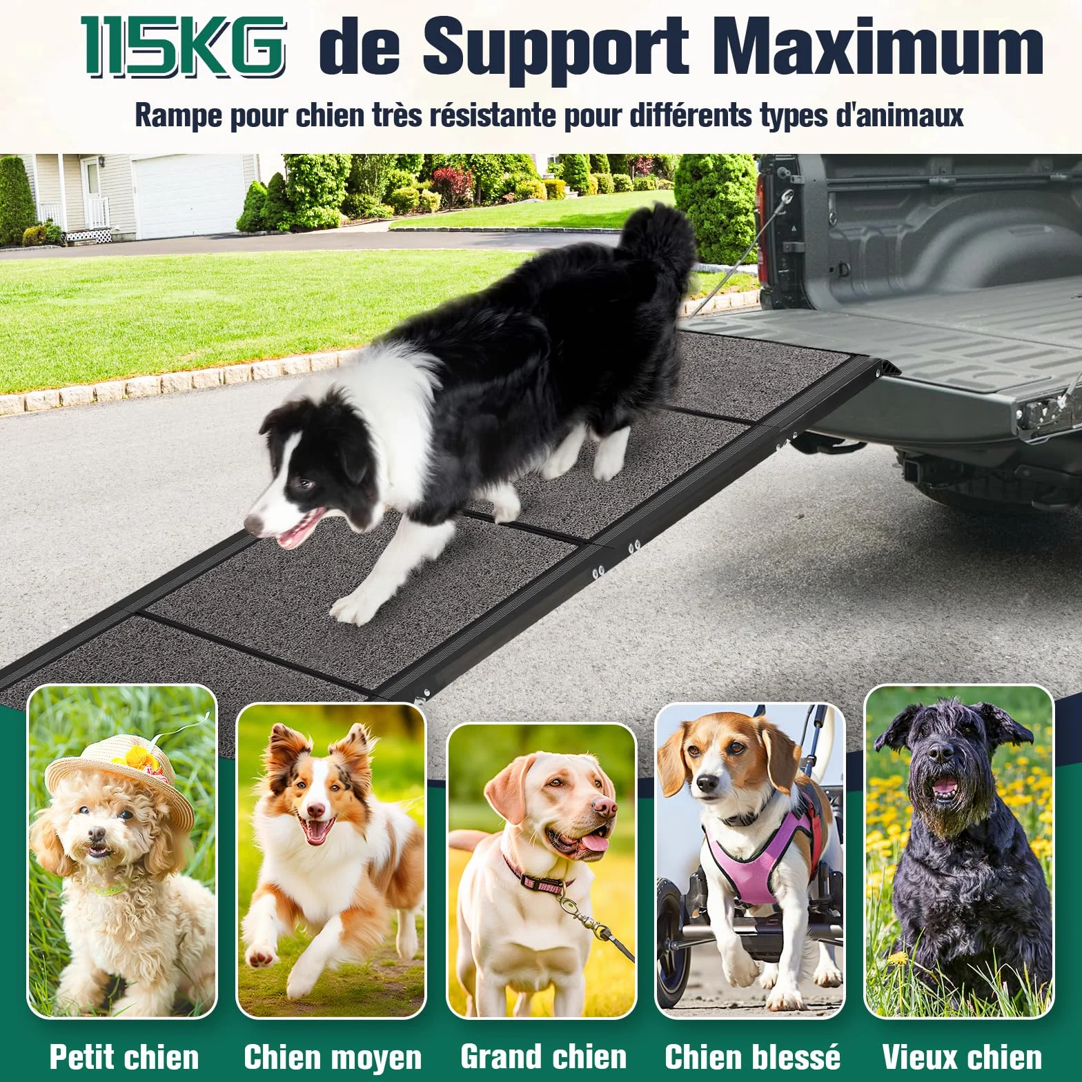 Rampe pour Chien Voiture Pliable Extra Longue 175cm, Rampes D'Accès Voiture pour Chien avec Surface Antidérapante, Échelle De Voiture Pliante Escalier pour Grands Chiens, Supporter Un Poids De 115kg