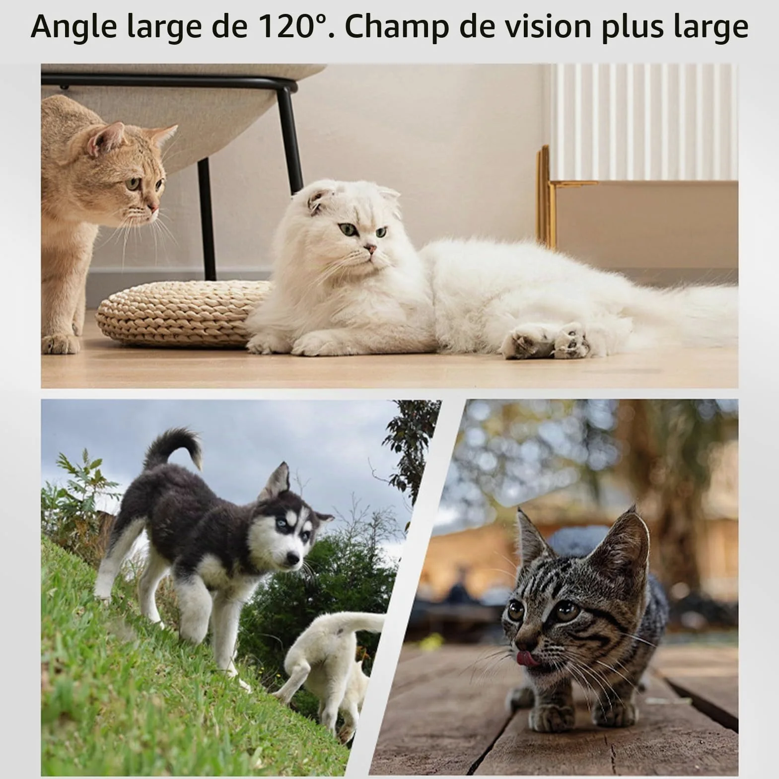Fabater Caméra pour Collier de Chat, Collier de Suivi de Chien HD 1080P, Mini Caméra d'action pour Enregistrements Vidéo Intérieur/extérieur, Pas de WiFi Nécessaire (White)