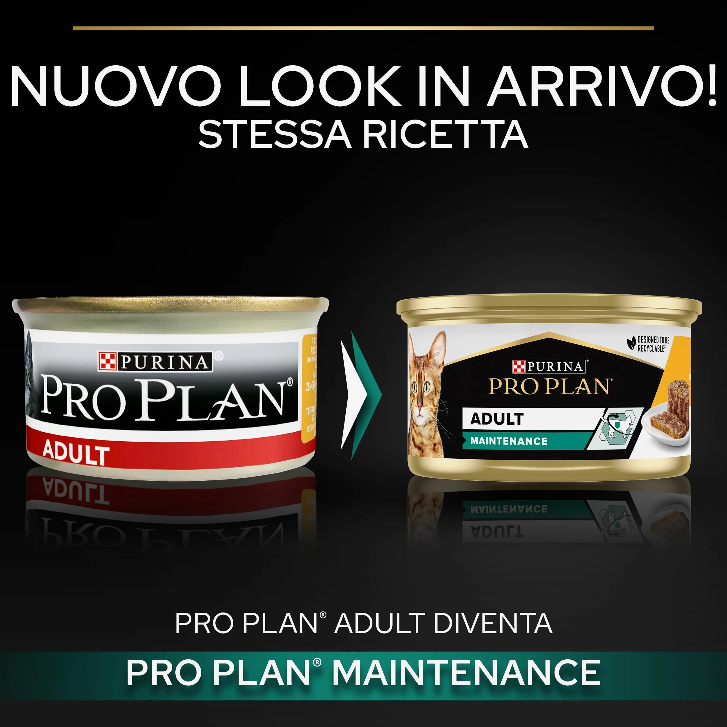 PURINA PRO PLAN | Adult STERILISED MAINTENANCE | Aliment Complet pour Chat Adulte Stérilisé | Aide à maintenir une bonne santé urinaire | Terrine | Au Poulet | Boîte | Lot de 24 x 85g