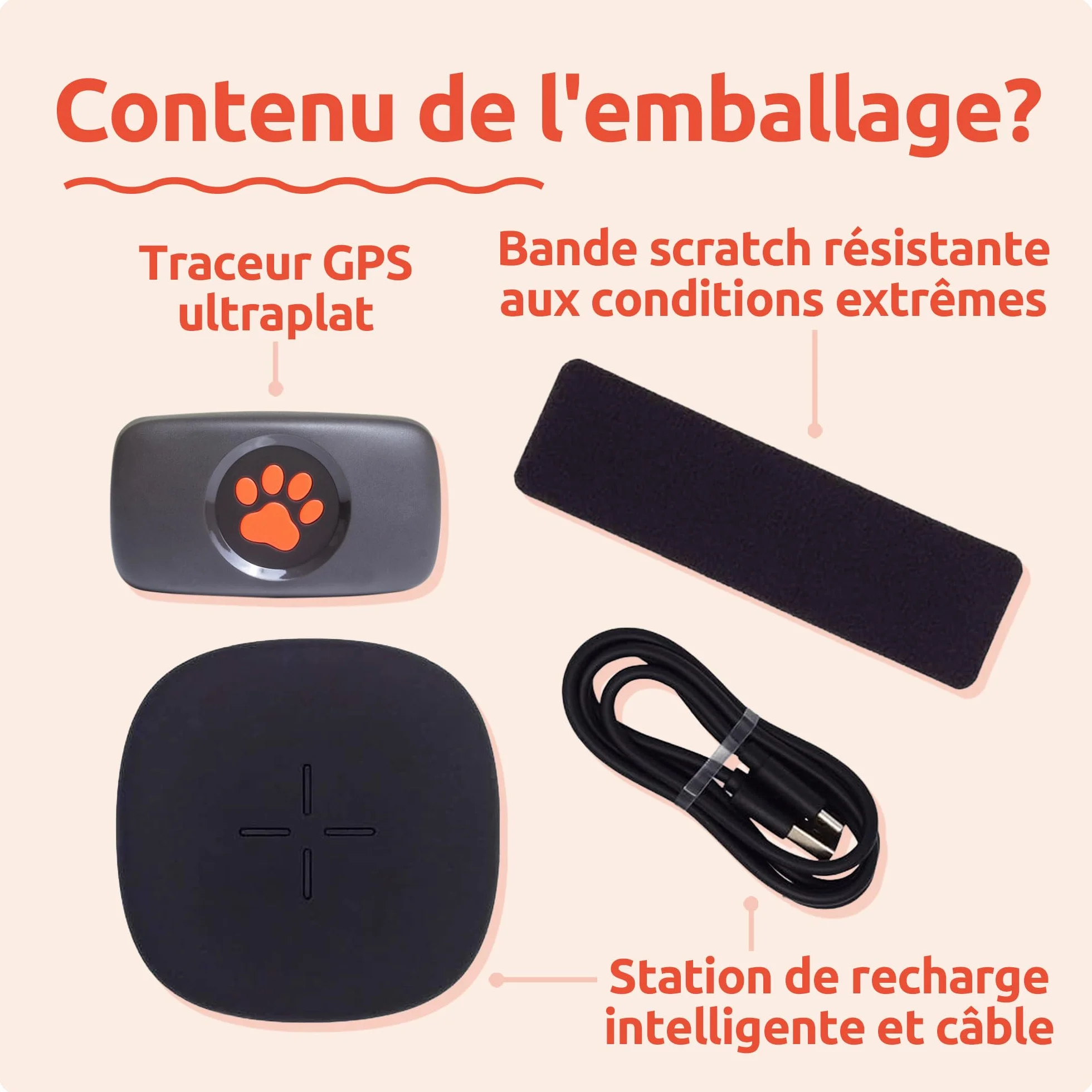 PitPat Traceur GPS pour Chien - Fixation au Collier