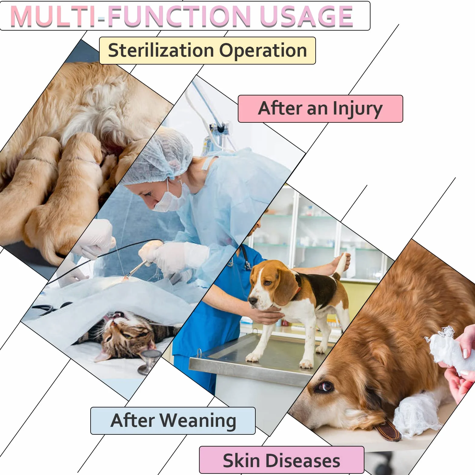 Body pour Chien Après Stérilisation Vêtement Chirurgie Post-Opératoire Pêche XL