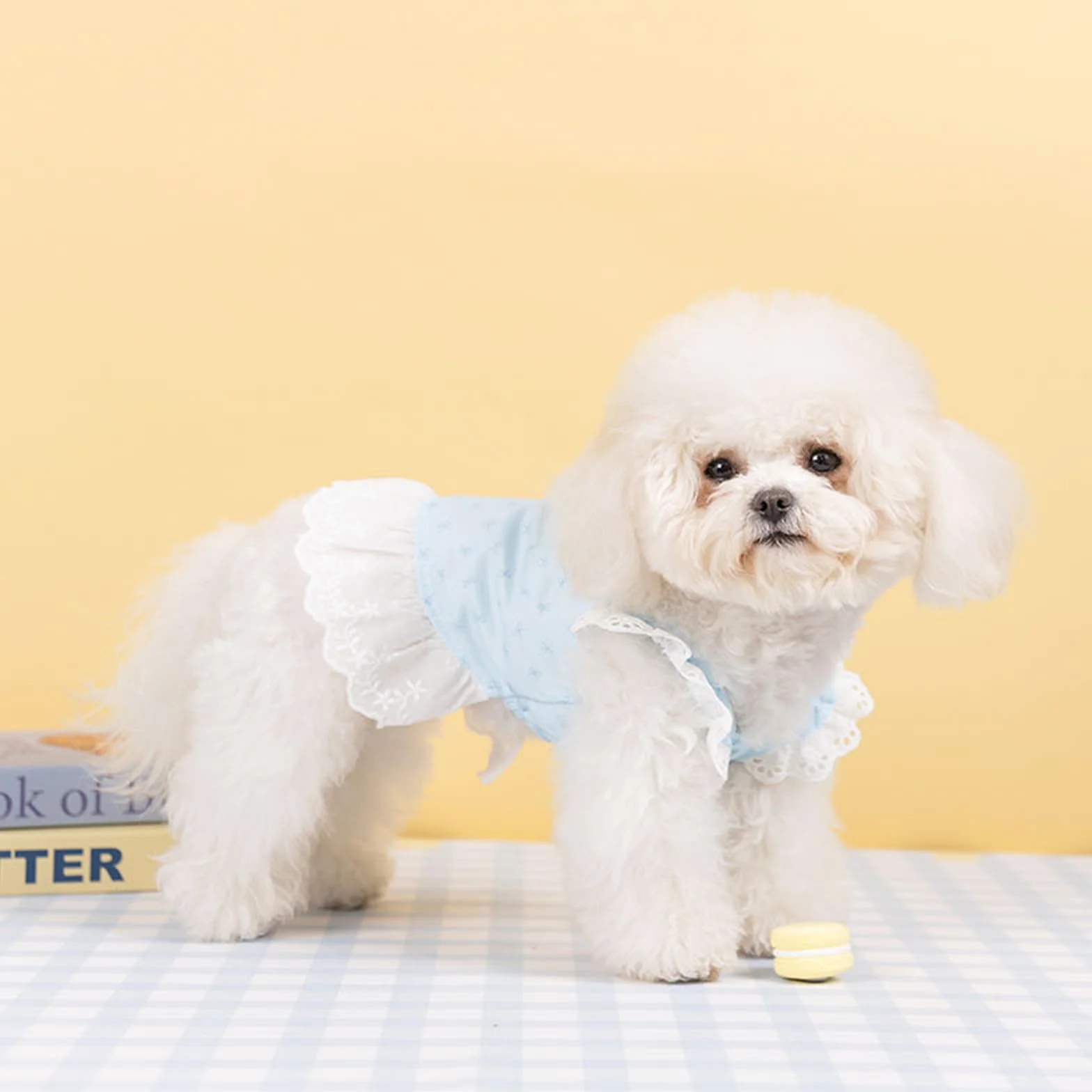 Lot de 2 Robes pour Chien, Vêtements d'Été Imprimé Floral Taille XS, Chemises à Volants pour Petits Chiens, Bleu et Rose