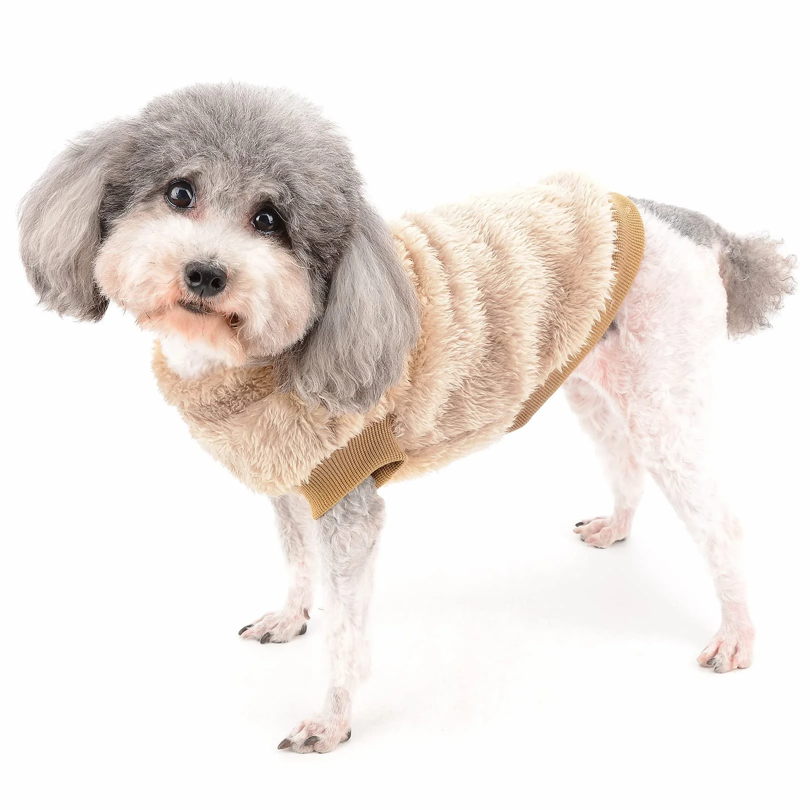 Manteau d'hiver chaud en polaire pour petit chien avec anneau en D pour harnais et laisse Chihuahua Yorkshire Marron S