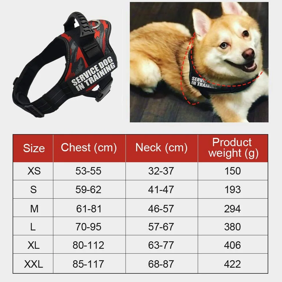Ceinture de sécurité en nylon réfléchissant pour chien XS-XXL pour petit chien Chihuahua Husky Bouledogue Chat Ceinture de sécurité Corde de traction Fournitures pour chien Évier