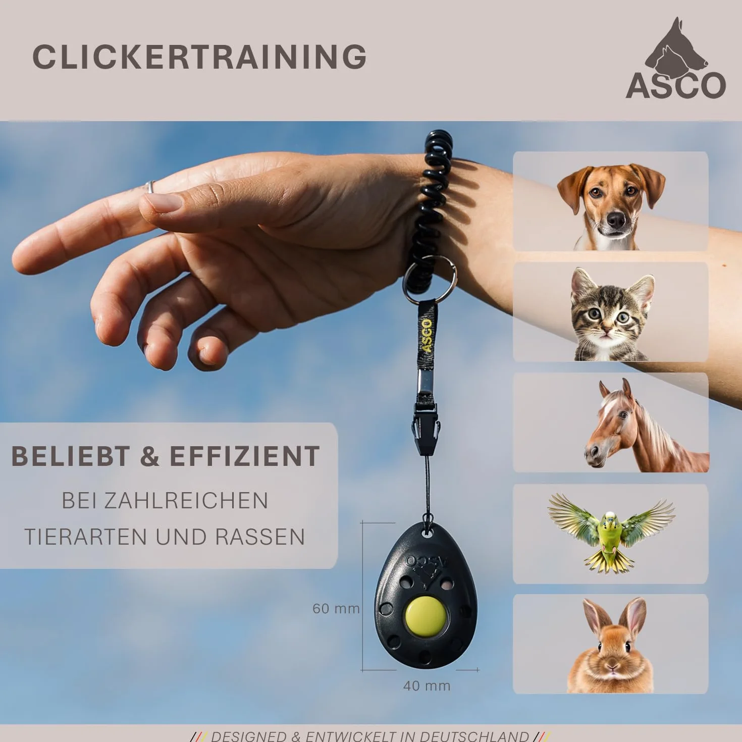 ASCO Finger Clicker, clicker Haut de Gamme pour Le Dressage au clicker, Chiens, Chats, Chevaux, clicker Professionnel, clicker pour Le Dressage des Chiens, Noir AC01F