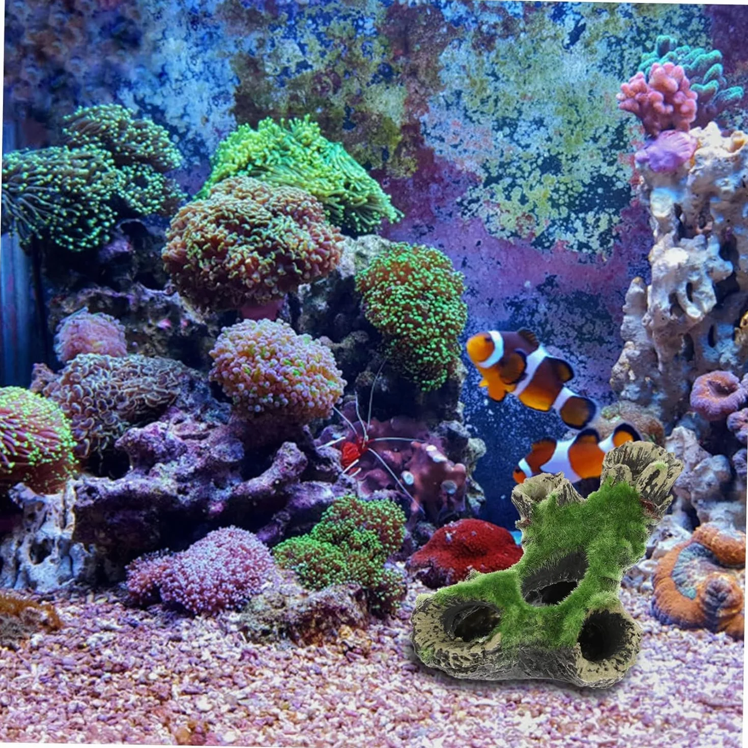 Décoration Aquarium Résine Grotte Cachette Poisson Ornement Sécure