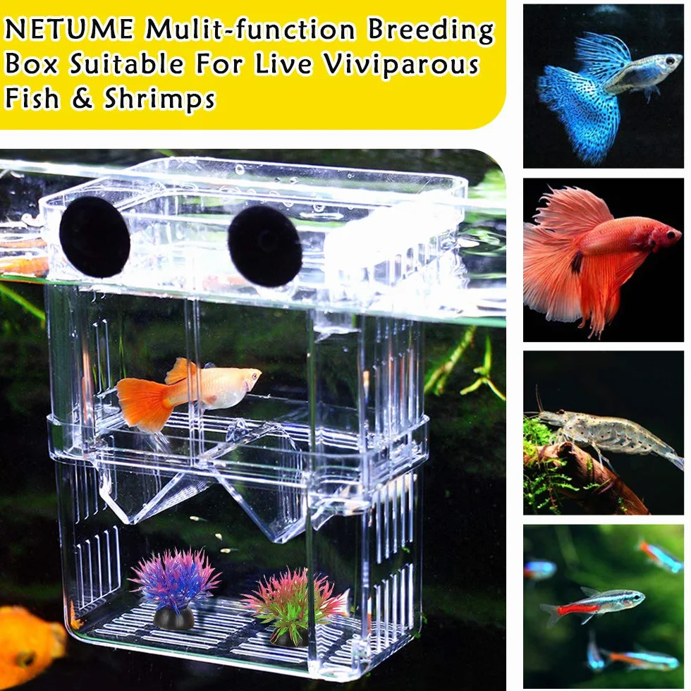 Boîte d'élevage de Poisson d'aquarium, en Acrylique Double Couche pour Isolation de Poisson/éclosion de Poissons/éleveurs de Poissons tropicaux