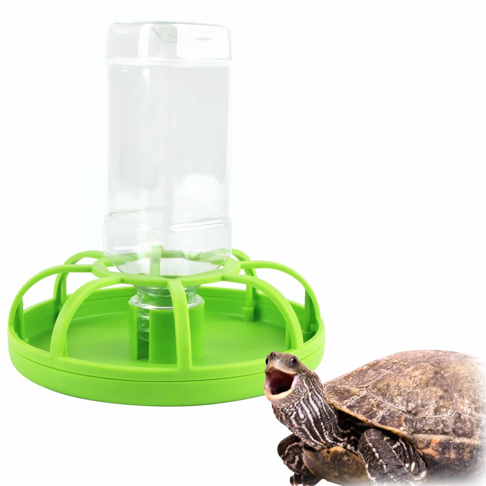Abreuvoir pour Reptiles Tortue Terrestre avec Bouteille d'eau Plastique Vert