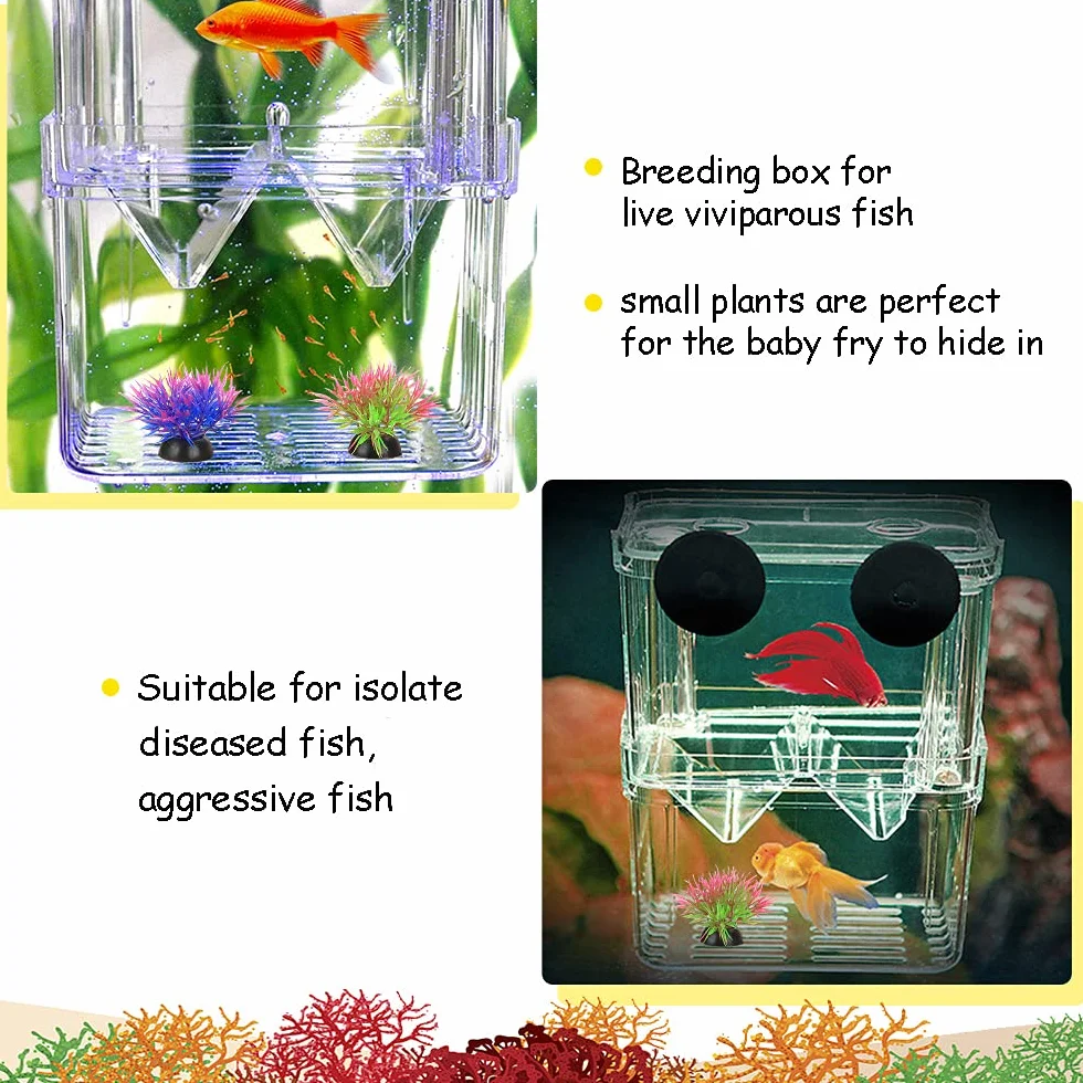 Boîte d'élevage de Poisson d'aquarium, en Acrylique Double Couche pour Isolation de Poisson/éclosion de Poissons/éleveurs de Poissons tropicaux