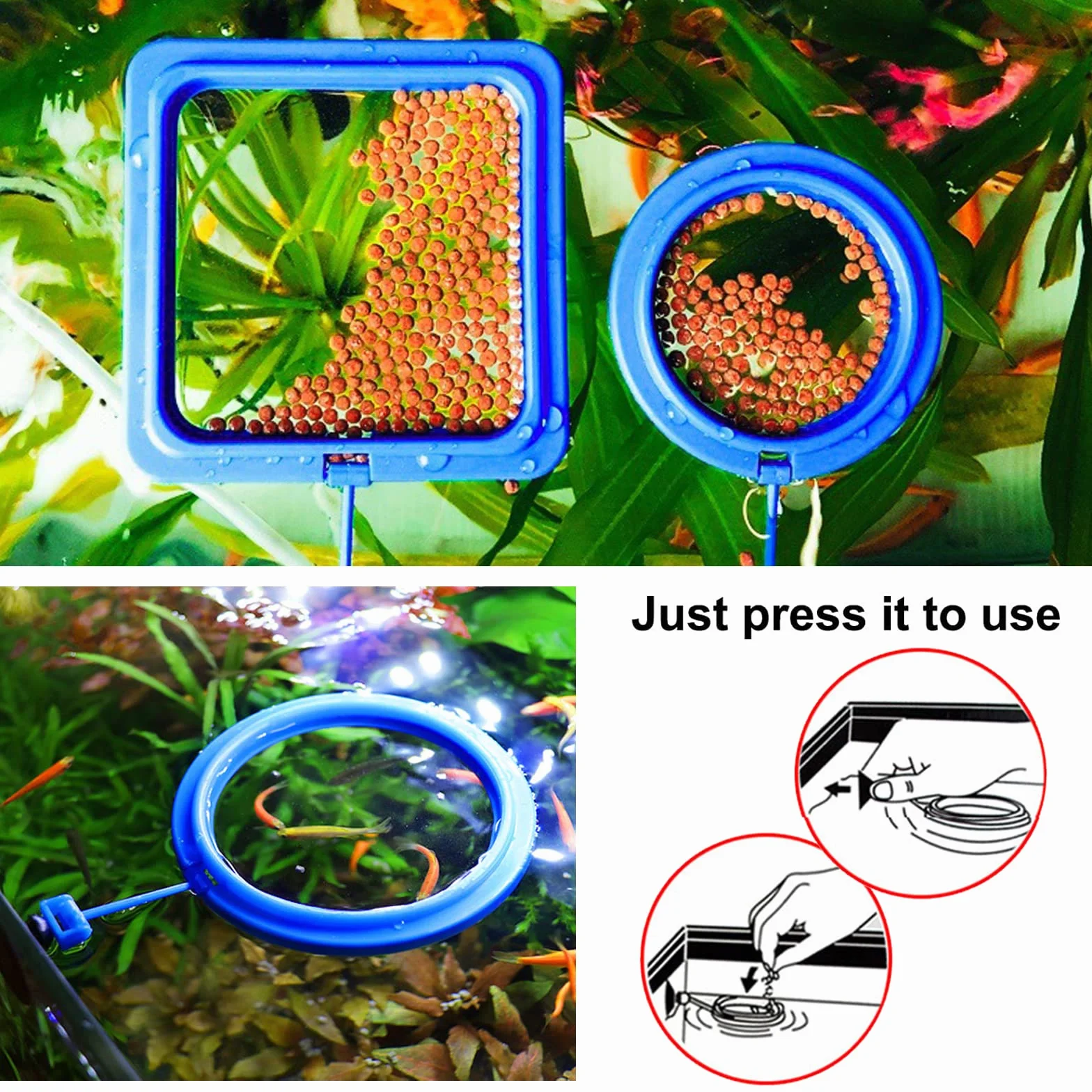 Lot de 2 mangeoires pour poissons d'aquarium - Accessoires circulaires pour guppys, bettas, poissons rouges, tortues (bleu)