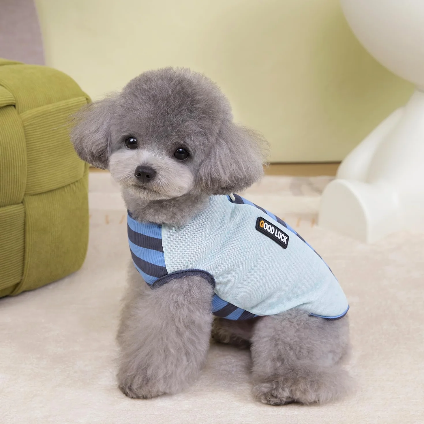 Izefia Gilet Débardeur T Shirt Chien Respirant Coton Rayure Arc-en-Ciel Été