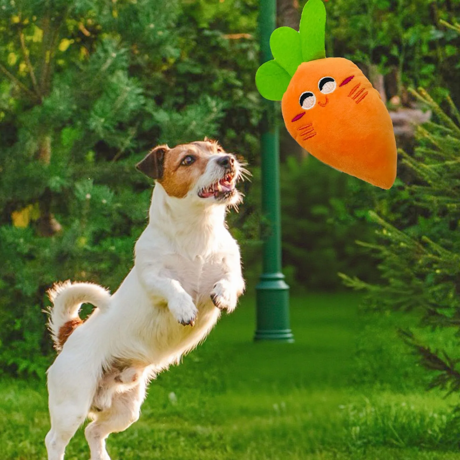 Frasheng Ensemble de Jouets pour Chien 18 Pièces, Corde à Mâcher Durable, Jouet Interactif, Peluche, Balle, Coton Naturel pour Petit et Moyen Chien