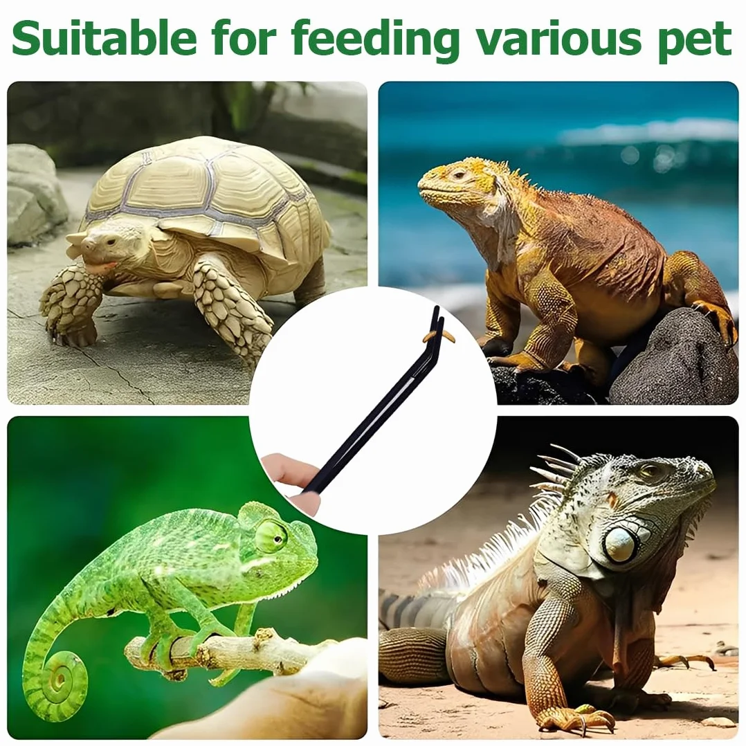 Pince à Aquarium en Acier Inoxydable 27 cm Courbée Noir pour Reptiles et Plantes Aquatiques