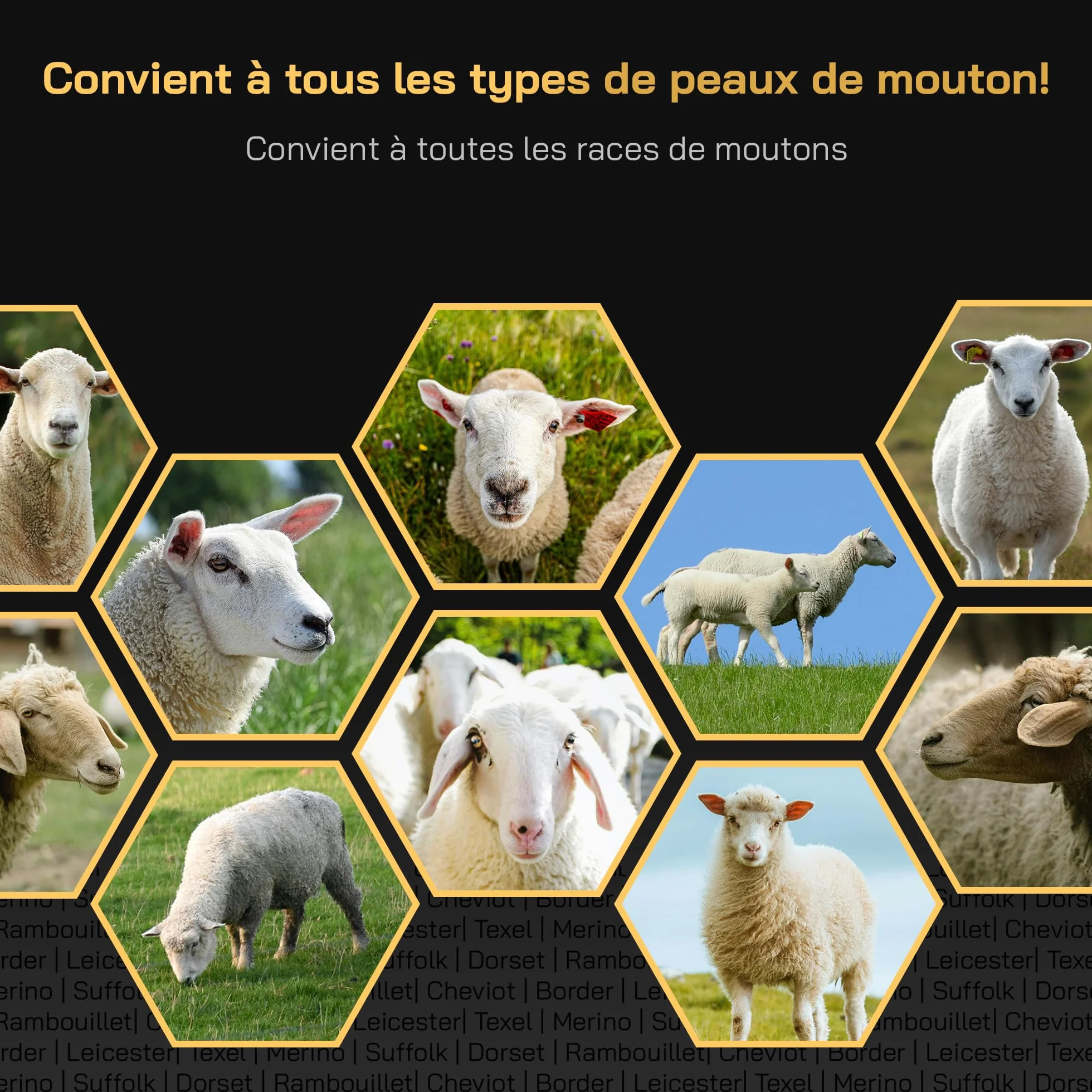 KNEIZER Tondeuse Électrique pour Moutons Kit Complet Lames Remplaçables Moteur Puissant