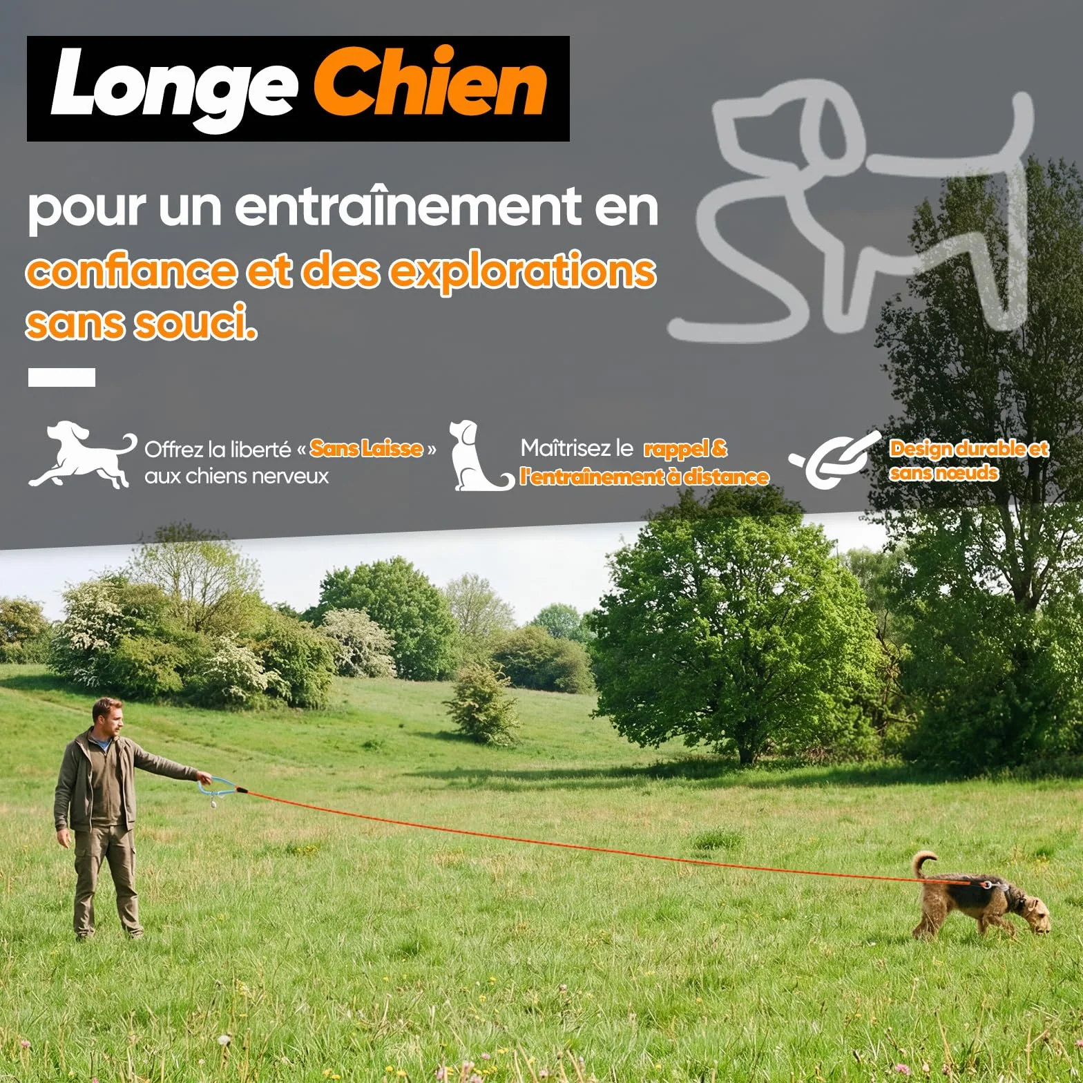 Laisse pour Chien Longue 5M 10M 15M 20M 30M avec Crochets Pivotants, Corde d'attache pour Petits Moyens Grands Chiens (Orange, 5M)