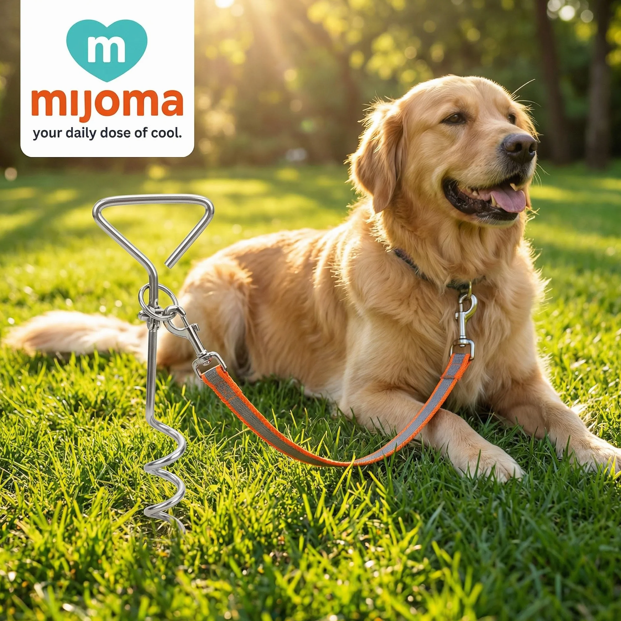 MIJOMA Spirale d'insertion pour chien - Ancrage rotatif avec mousqueton - Acier inoxydable - Ancrage au sol - Jardin Camping