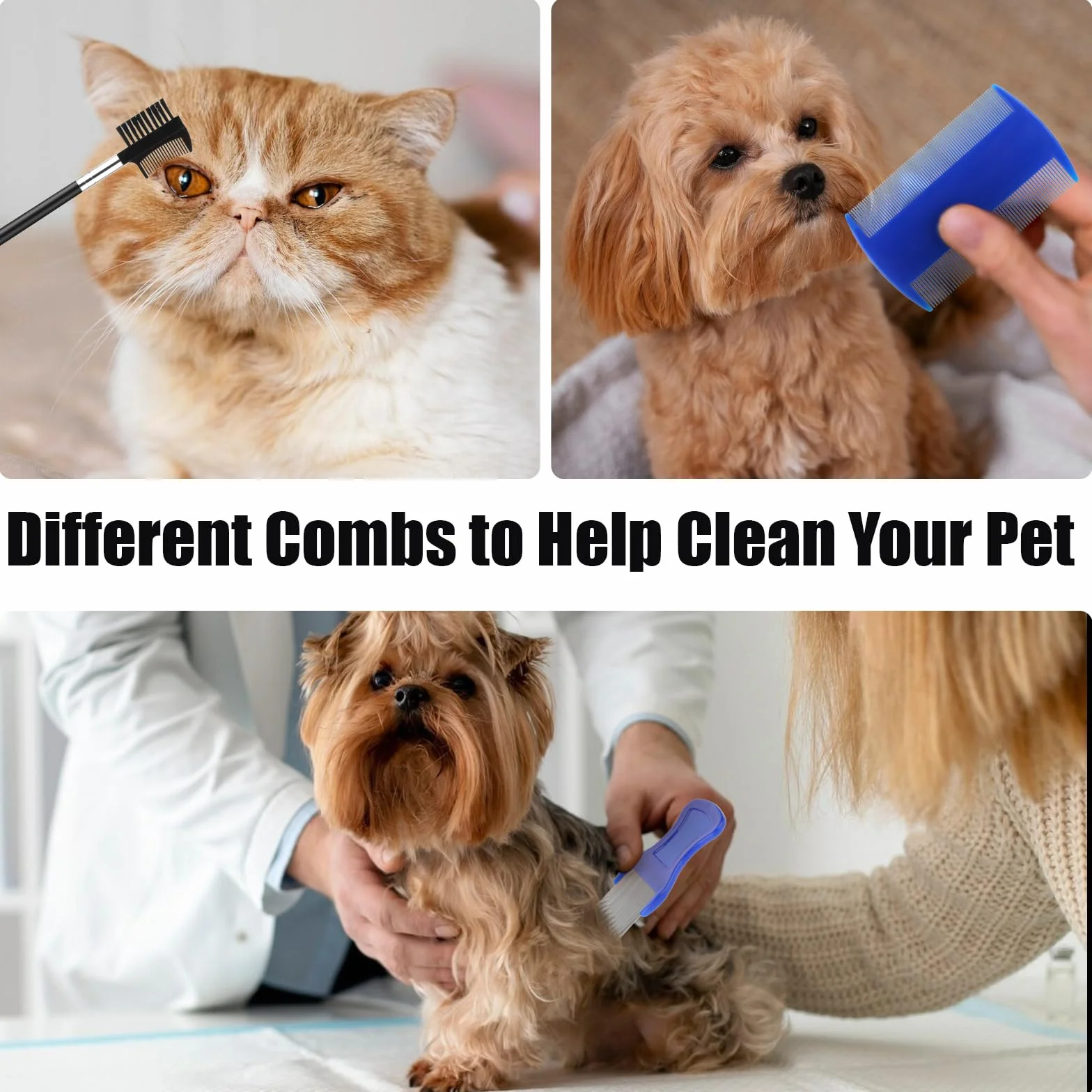 Peignes anti-puces en acier inoxydable Molain Lot de 5 pour chats et chiens