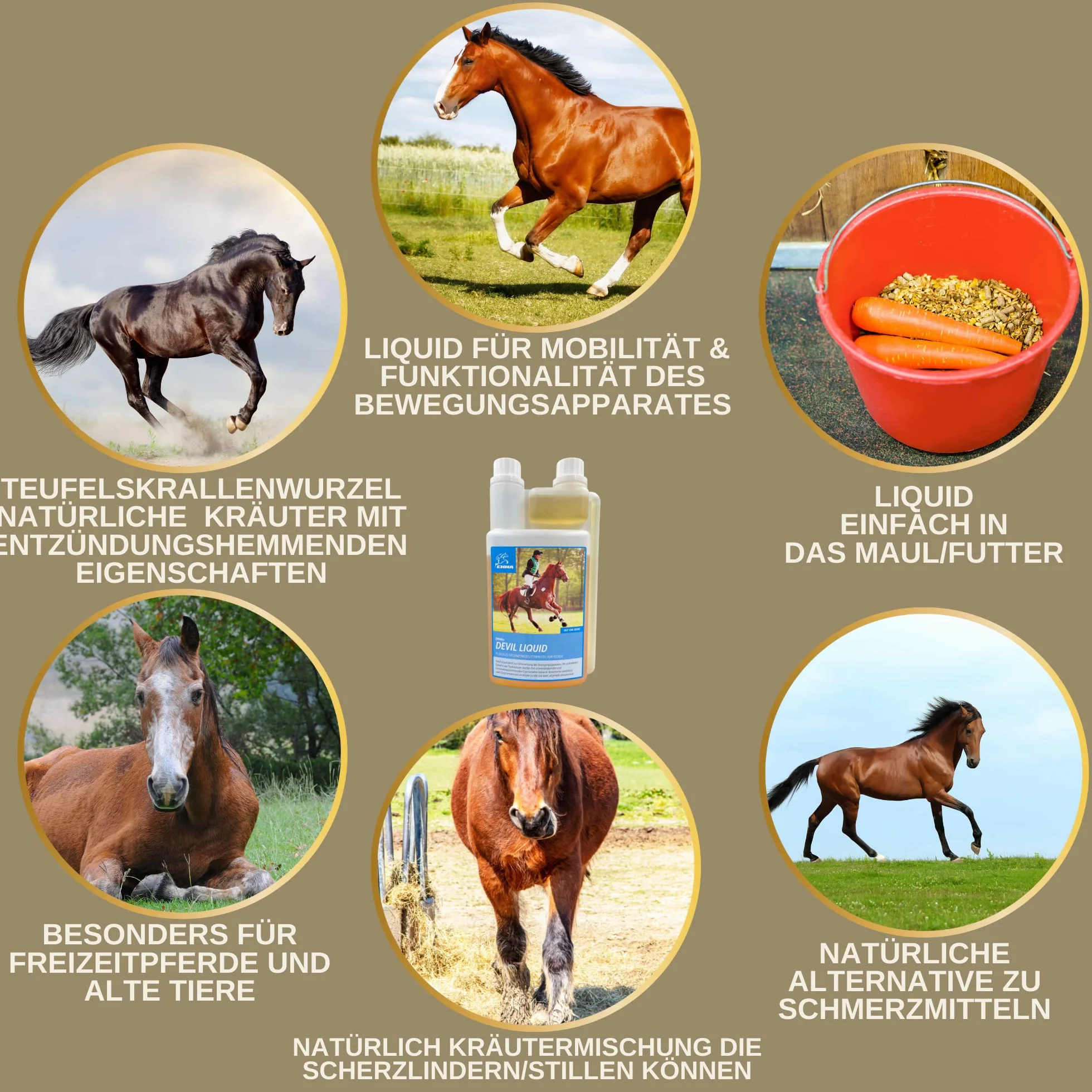 Griffe du diable cheval 1L articulation plus griffe du diable naturelle chevaux I chevaux liquide articulations pour le soutien de l'appareil locomoteur & les articulations en cas d'arthrose cheval