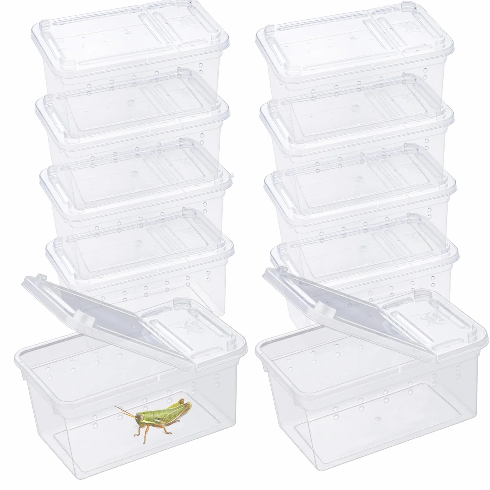 Boîte à nourriture pour reptiles transparente 11 x 7 x 5.5 cm en plastique terrarium