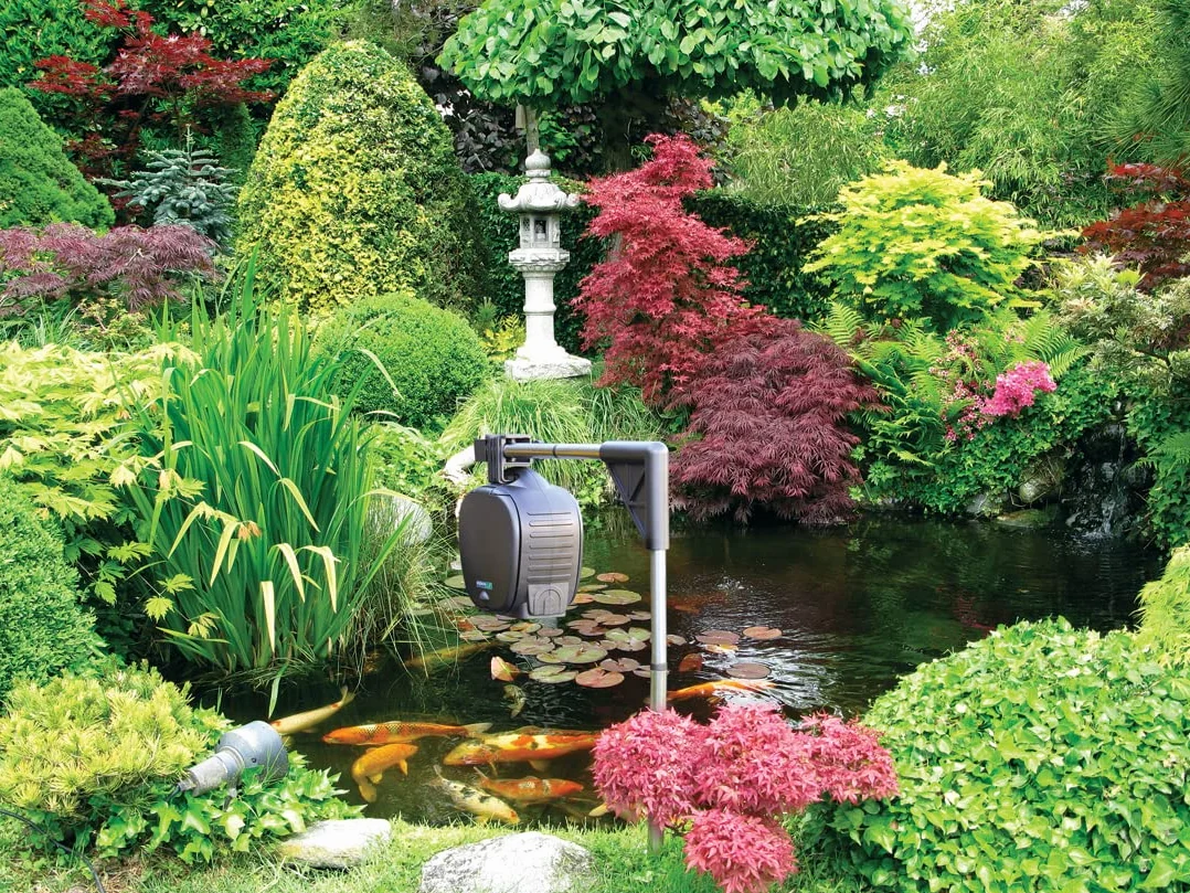HOZELOCK Distributeur Automatique de Nourriture pour Poisson sur Pic, Capacité 800 mL, Fonctionne sur Pile